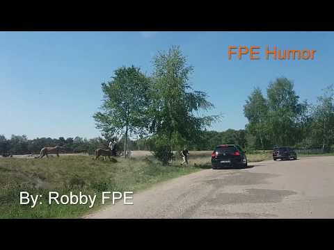 Brutal Cheetah attack! at Dutch Safari park