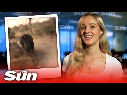 CHARGE! Rhino chases safari jeep full of terrified tourists