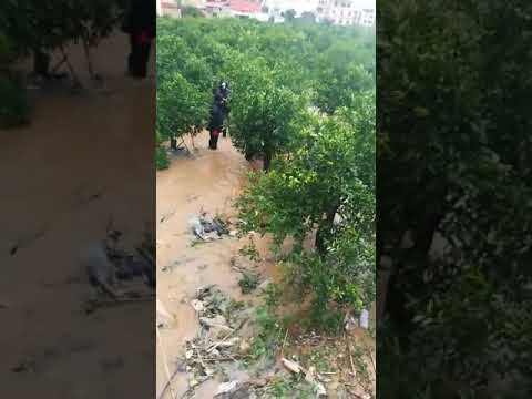 طفلة الـ 8 سنوات تجرفها سيول "نورما" في المنية