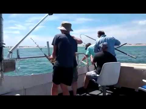 Blacktip Shark Bites Man in Outer Banks