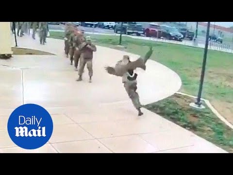 Goose attacks US soldiers in hilarious video - Daily Mail
