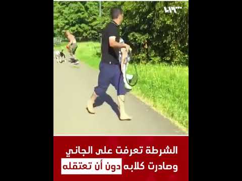 ألماني يعتدي على سوري ويطلق كلبيه المفترسين لعضه