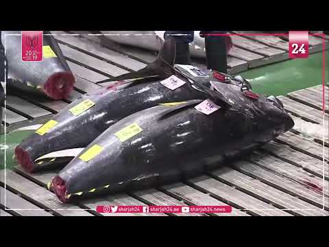 Tuna sells for nearly two million USD at Japan New Year auction