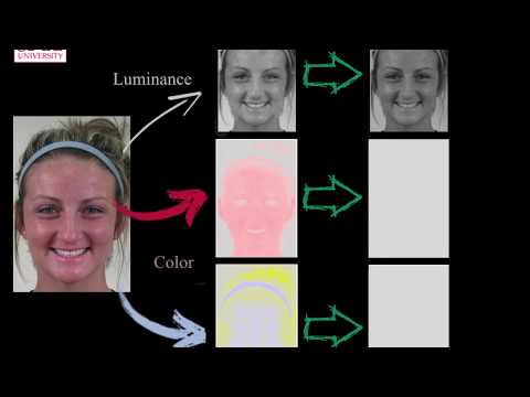 Facial Color Transmits Emotion