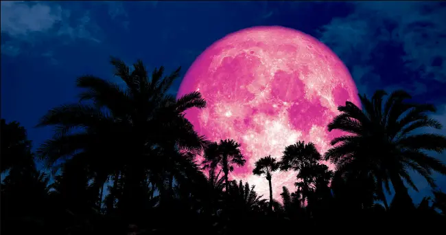الأرض على موعد مع ظاهرة القمر الوردي