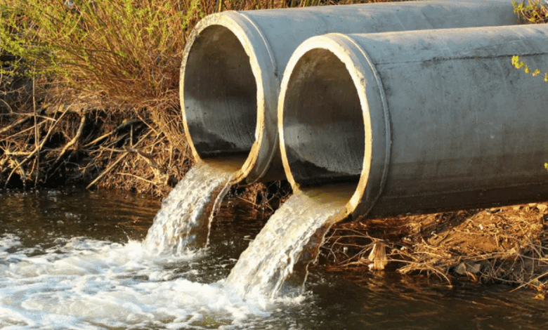 زراعة ريف دمشق تتلف محاصيل تروى بمياه الصرف الصحي